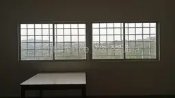 Vista 51