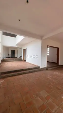 Vista 19