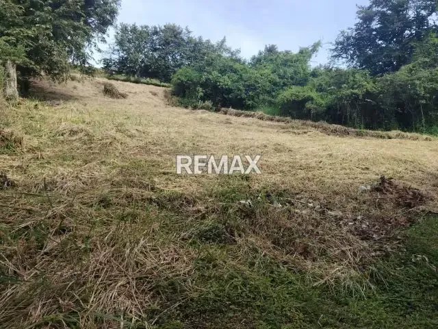 SE VENDE TERRENO EN ARJONA CON CONEXION - 2