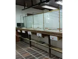 Vista 19