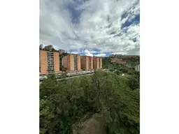 View 19