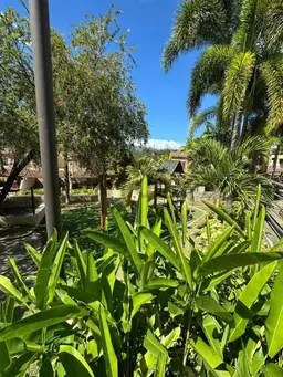 Vista 34