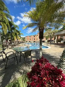 Vista 6