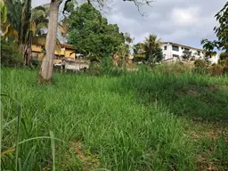 Vista 4