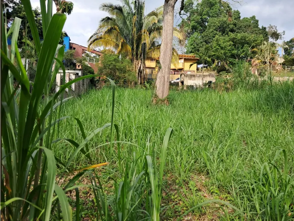 Vendo terreno 1056m2 La Unión 8240 - 6