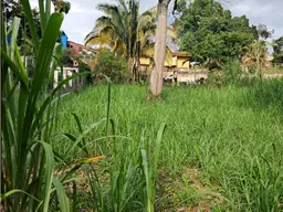 Vista 6