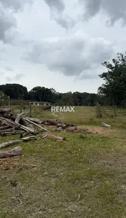View 6