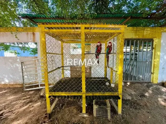 Granja Caballeriza en venta - 6