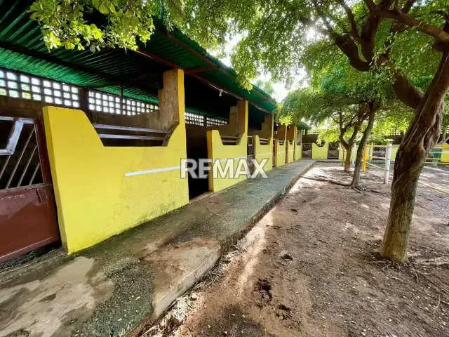 Granja Caballeriza en venta - 10