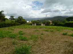 Vista 15