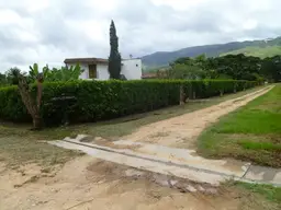 Vista 19