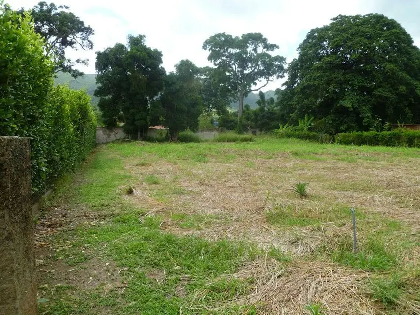Terreno (Residencial) en Venta en Aguirre, Carabobo - 3