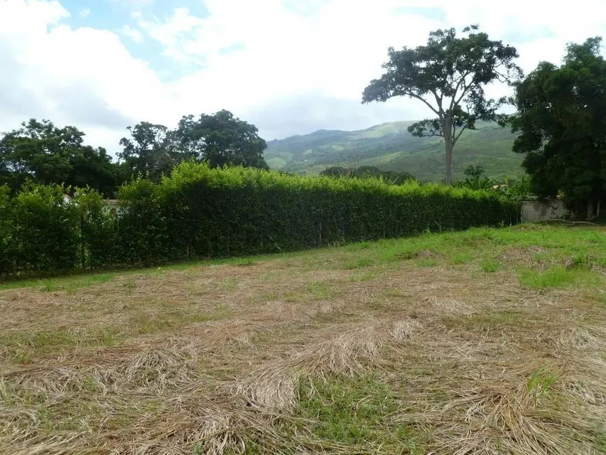 Terreno (Residencial) en Venta en Aguirre, Carabobo - 4