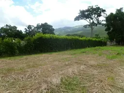Vista 4