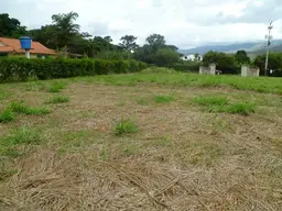 Vista 6