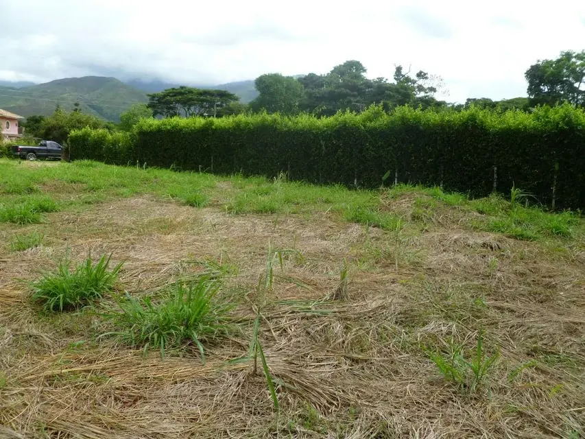 Terreno (Residencial) en Venta en Aguirre, Carabobo - 7