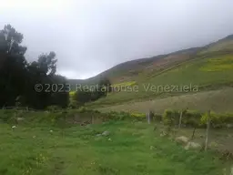 View 1