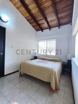 Vista 28