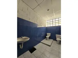 Vista 9