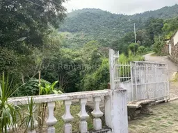 View 31