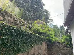 View 35