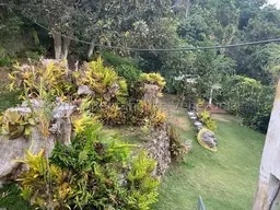 View 36