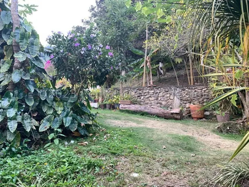 Casa (1 Nivel) en Venta en Carmona, Trujillo - 37