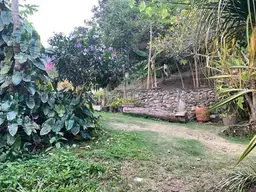 View 37