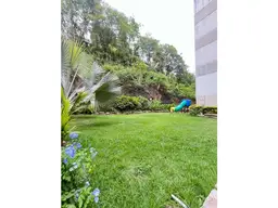 View 14
