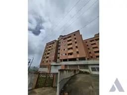 Vista 13