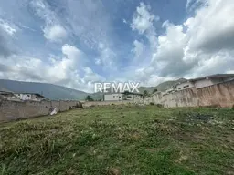 Vista 5