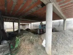 Vista 6