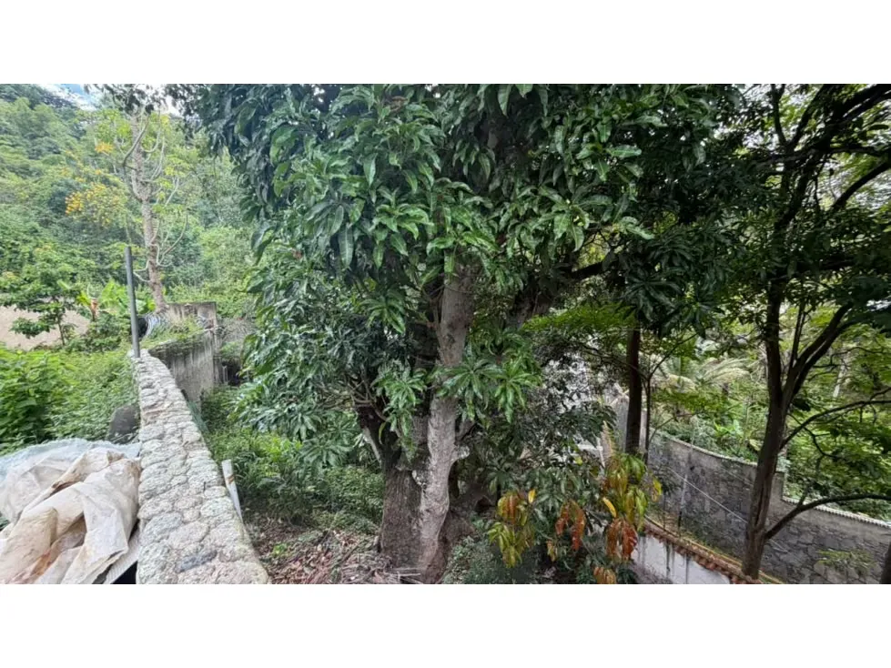 Vendo terreno c/bienhechuria 2900m2 Los Campitos 2329 - 12