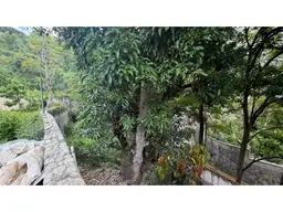 Vista 12