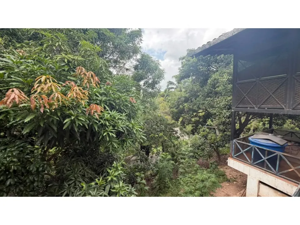 Vendo terreno c/bienhechuria 2900m2 Los Campitos 2329 - 10