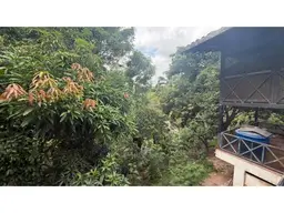 Vista 10