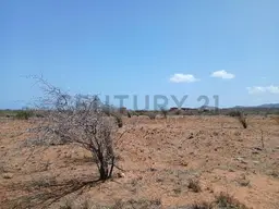View 11