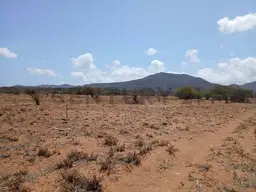 View 12