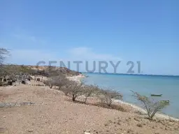 View 14