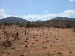 View 6