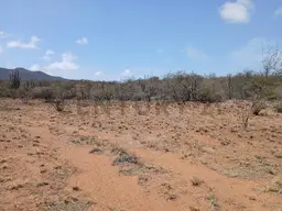 View 7