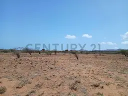 View 10