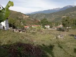 Vista 11