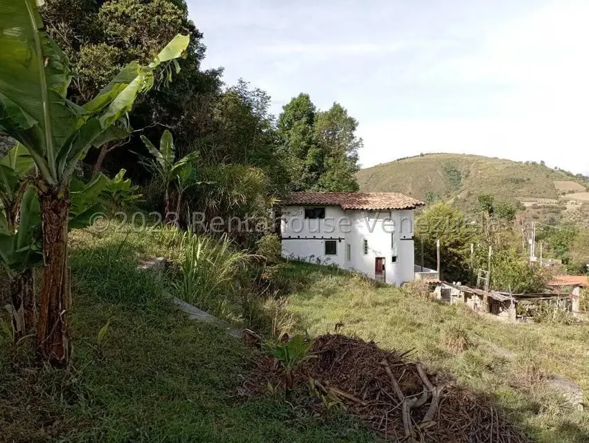 Terreno (Comercial) en Venta en Mucuy Baja, Merida - 4