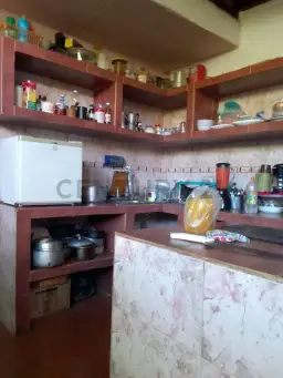 View 5