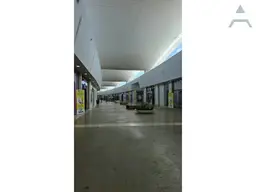 Vista 6