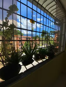 View 3