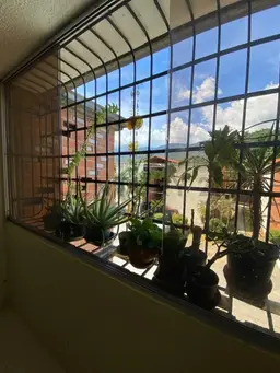 View 4