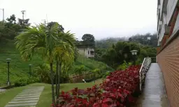 View 6