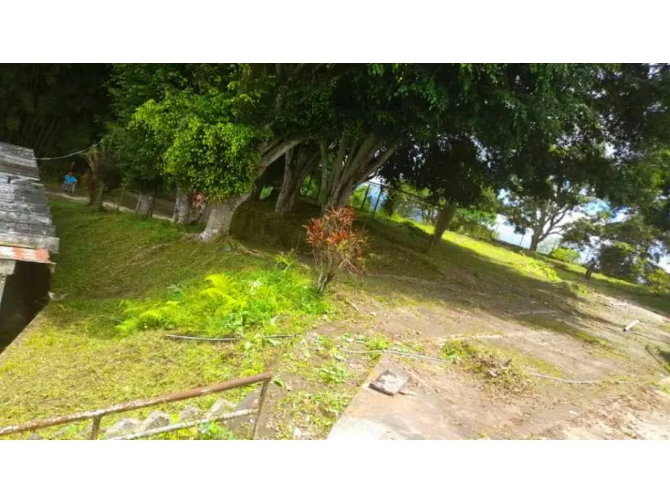 Vendo casa 600mts2 Plantacion de Cacao 5h/6b/10pe Los Guayabitos - 11